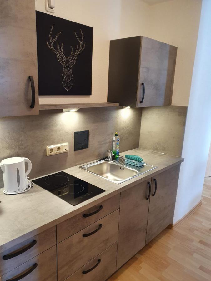 Apartments Und Bistro Zum Glasmacher Gehlberg Eksteriør billede