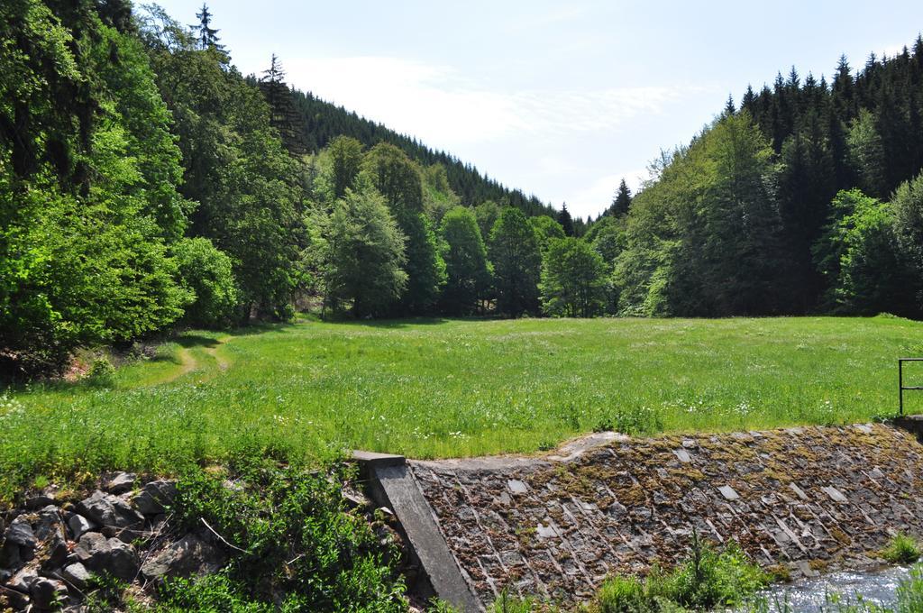 Apartments Und Bistro Zum Glasmacher Gehlberg Eksteriør billede
