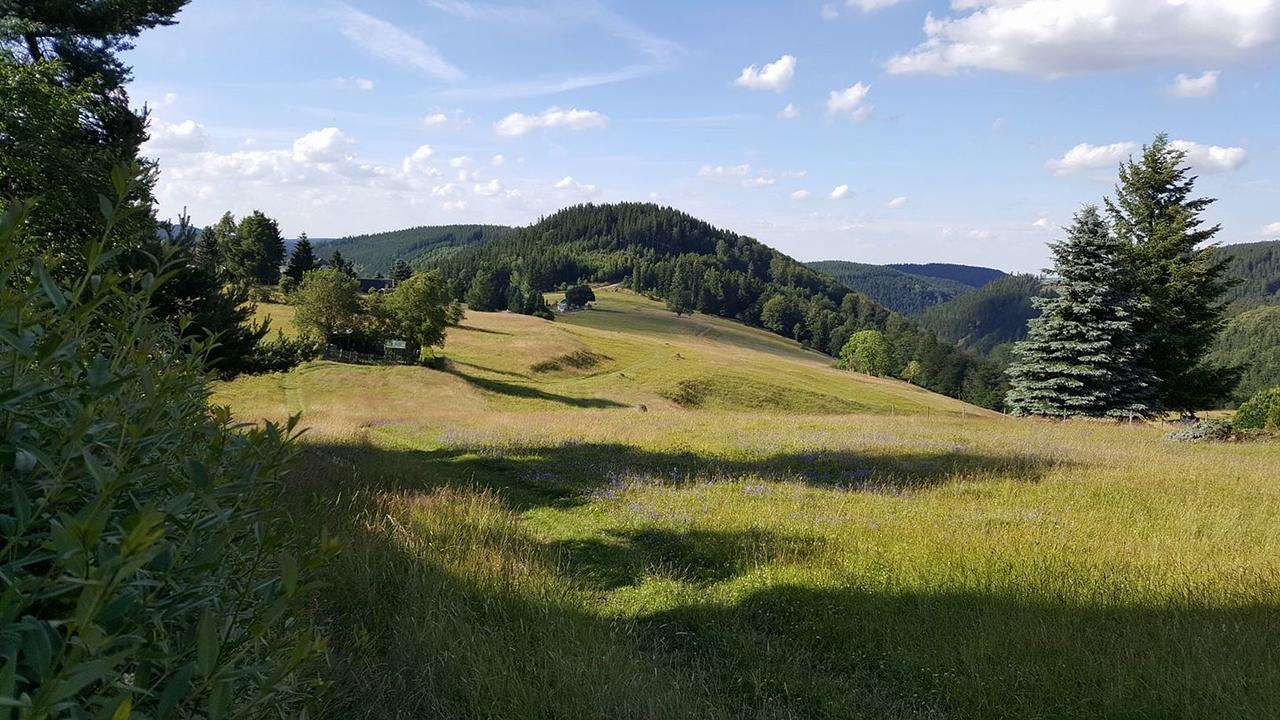 Apartments Und Bistro Zum Glasmacher Gehlberg Eksteriør billede